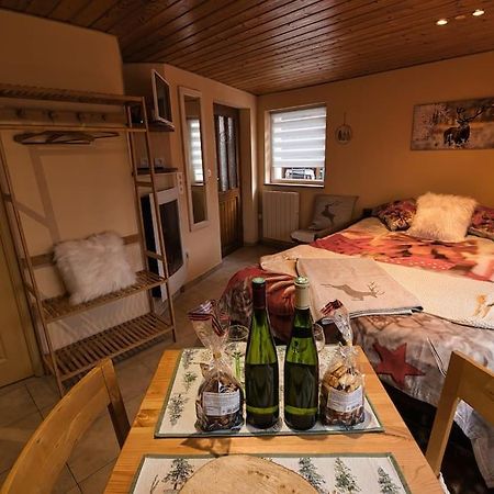 Apartament Les Chouchous Du Ried 3 / Proche Europapark Saasenheim Zewnętrze zdjęcie