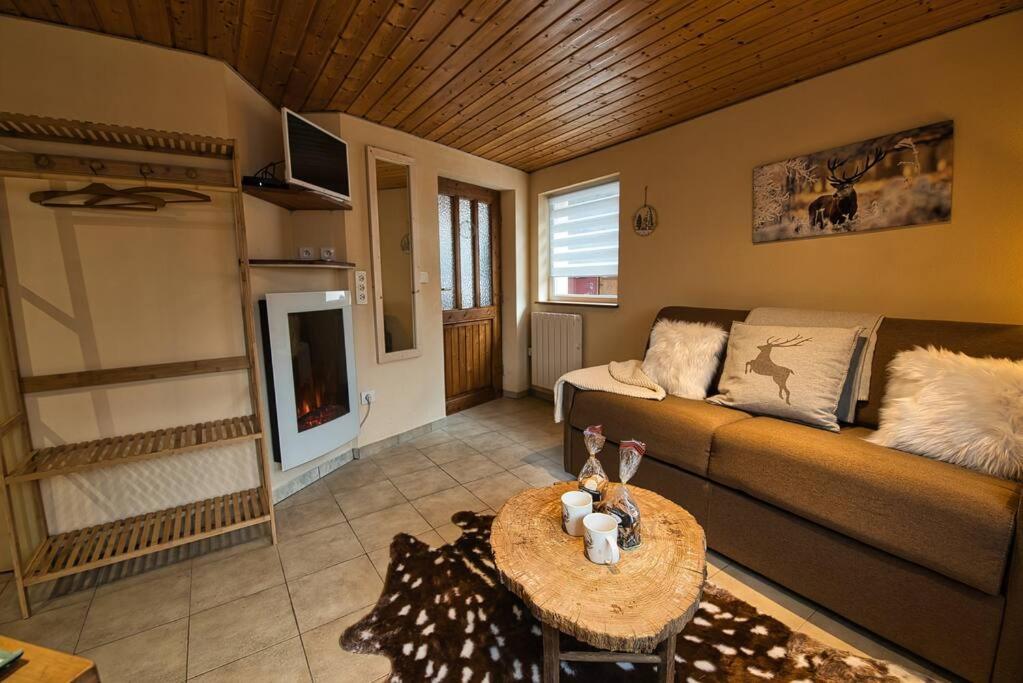 Apartament Les Chouchous Du Ried 3 / Proche Europapark Saasenheim Zewnętrze zdjęcie