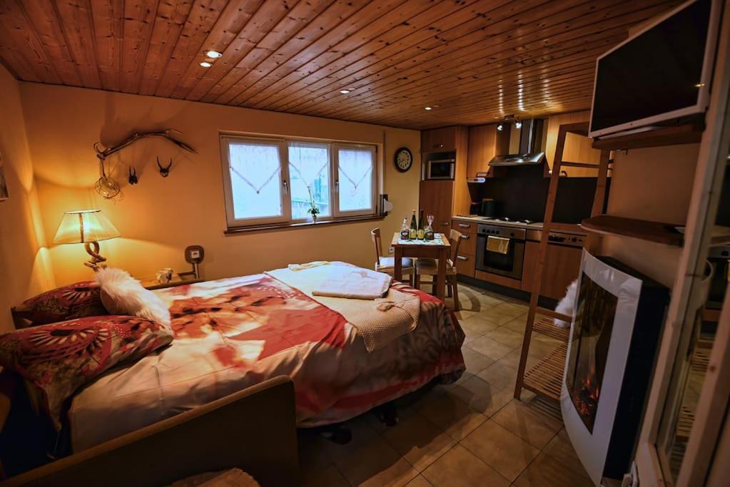 Apartament Les Chouchous Du Ried 3 / Proche Europapark Saasenheim Zewnętrze zdjęcie