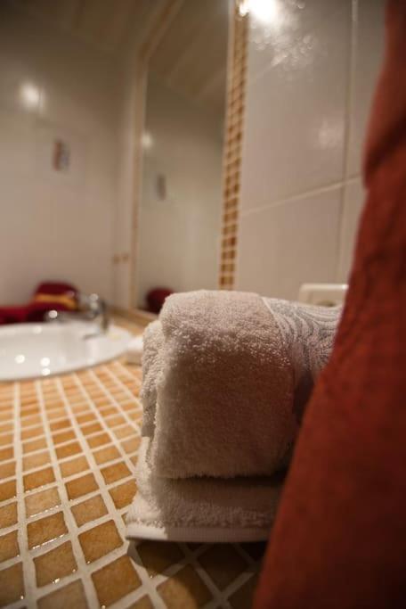Apartament Les Chouchous Du Ried 3 / Proche Europapark Saasenheim Zewnętrze zdjęcie